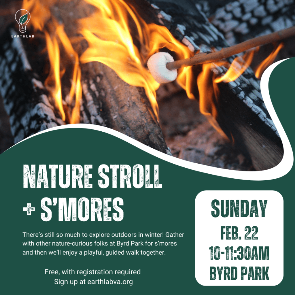 Pop-up Nature Stroll +&nbsp;S’mores