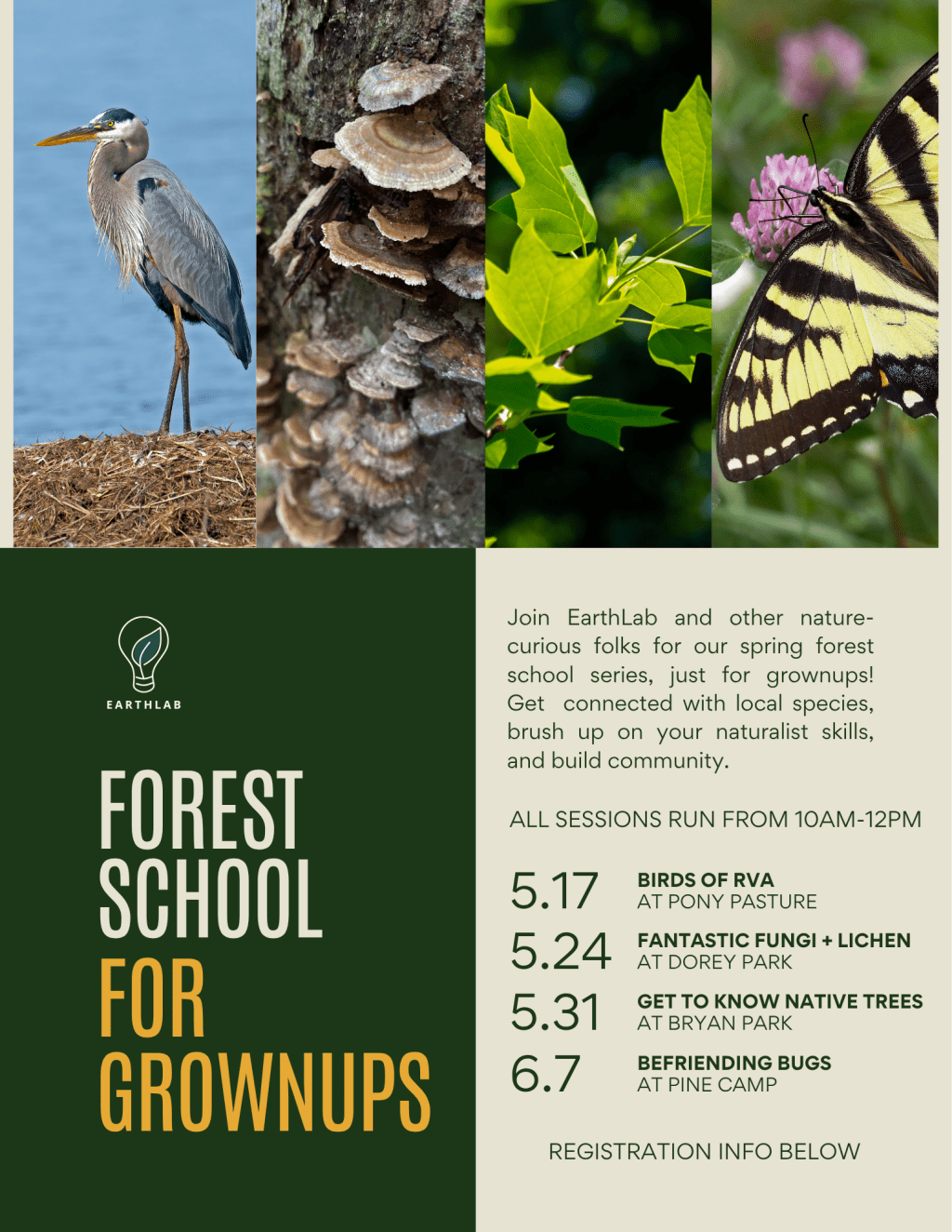 Spring 2026 Forest School for Grownups&nbsp;Series