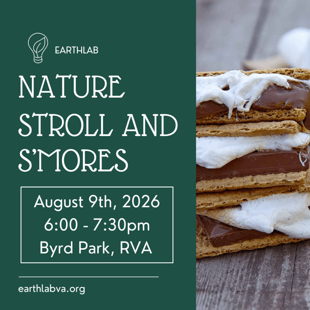 Summer Nature Stroll + S’mores